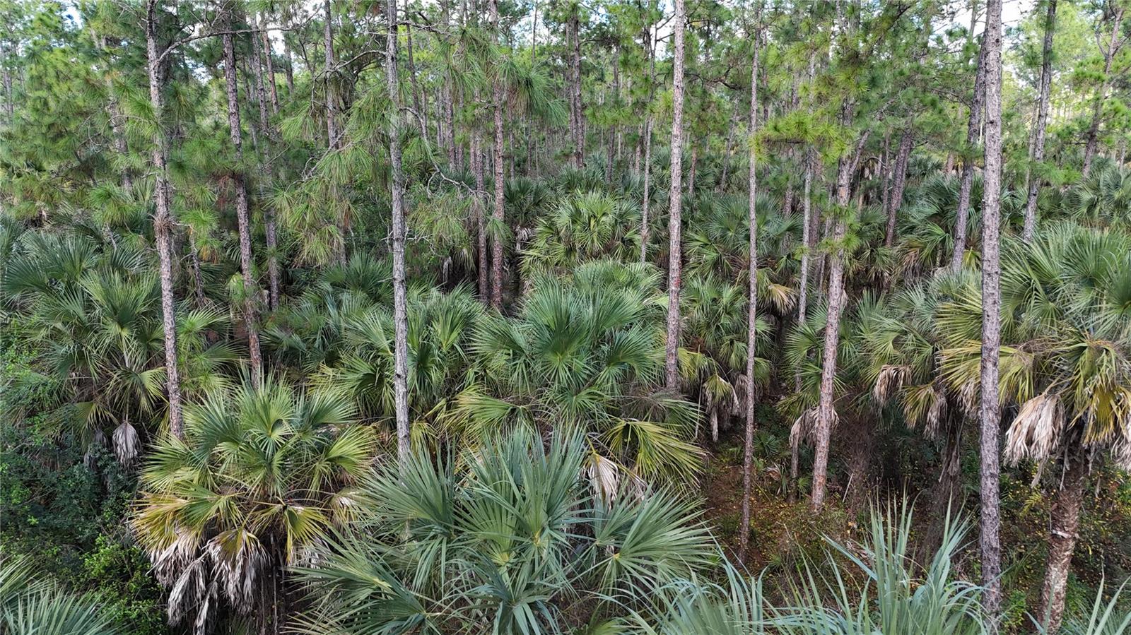 Image 4 of 22 For  16th Ave Se  