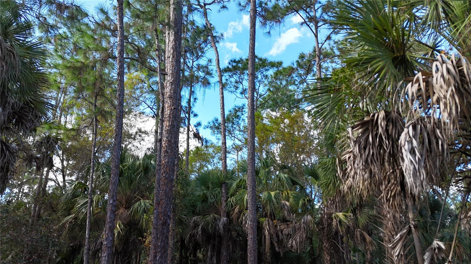 Image 5 of 22 For  16th Ave Se  