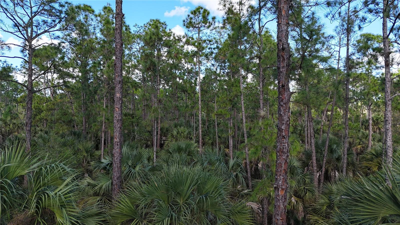 Image 6 of 22 For  16th Ave Se  