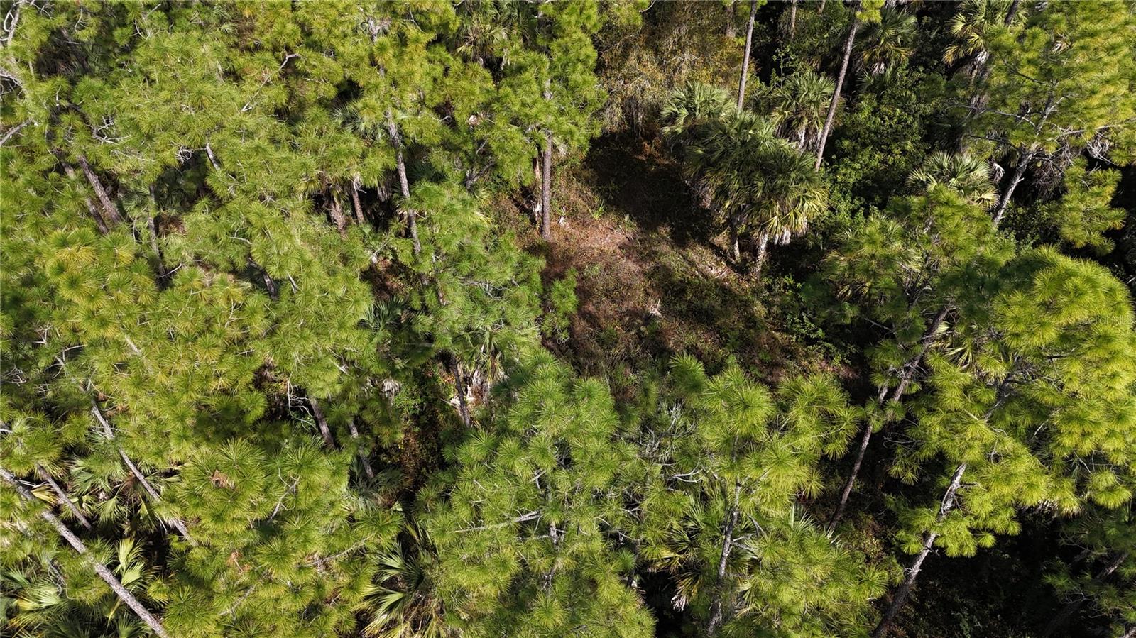 Image 7 of 22 For  16th Ave Se  