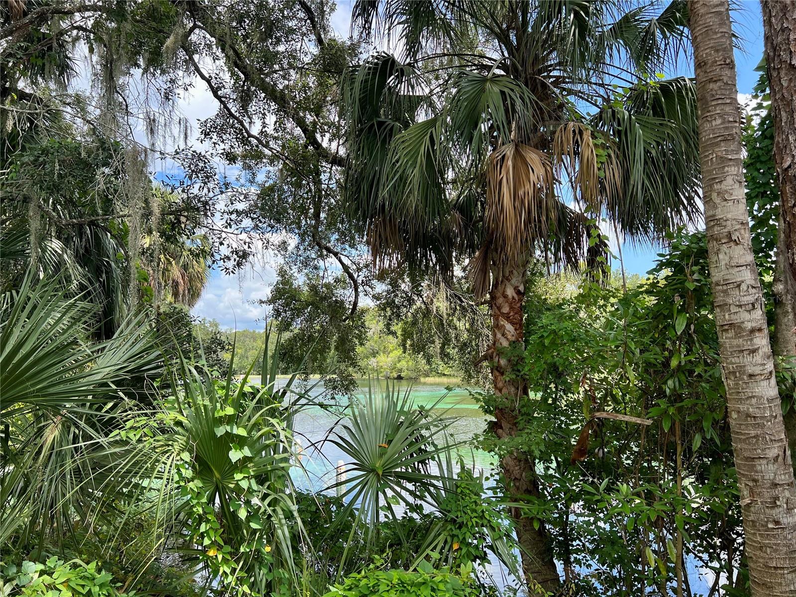 Image 33 of 37 For 12178 Palmetto Way