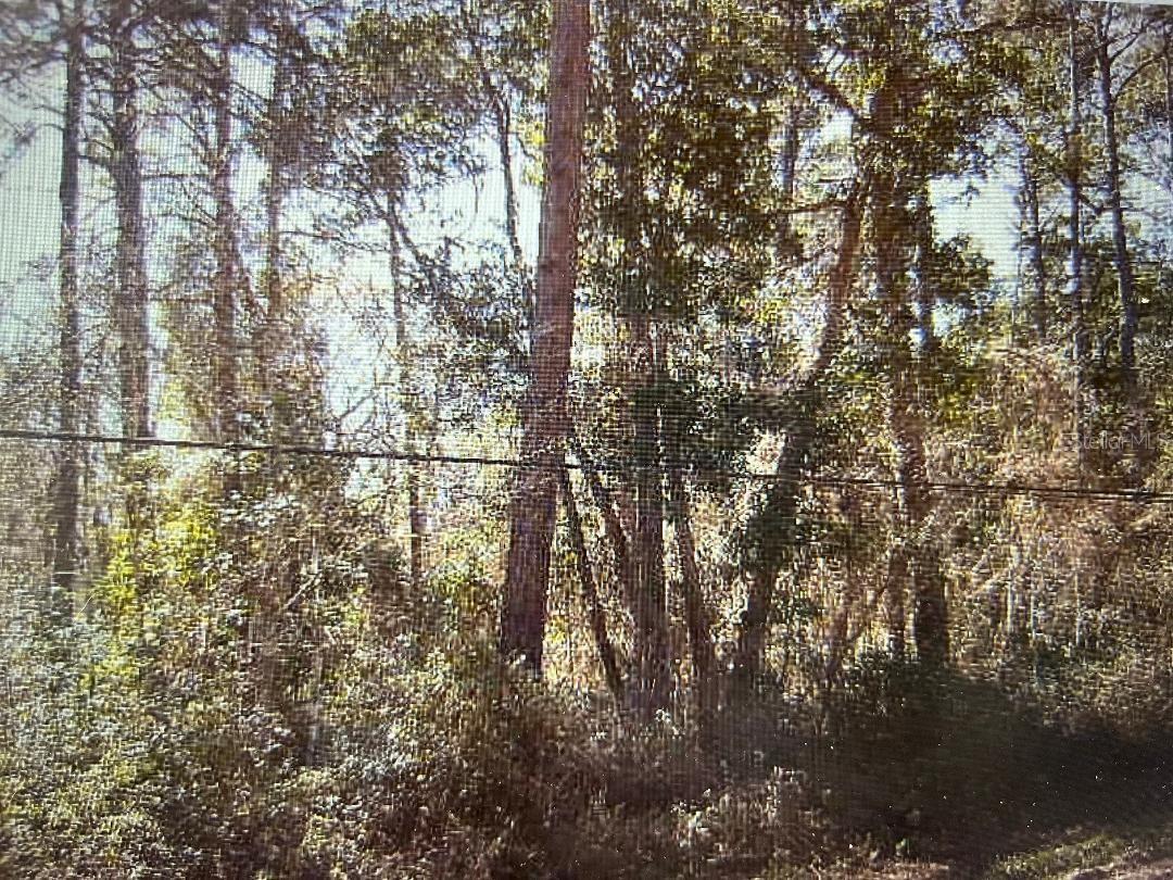 Listing photo id 0 for 83 Sorrel Street