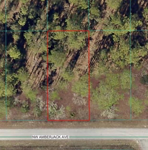 Details for Amberjack Avenue, DUNNELLON, FL 34431