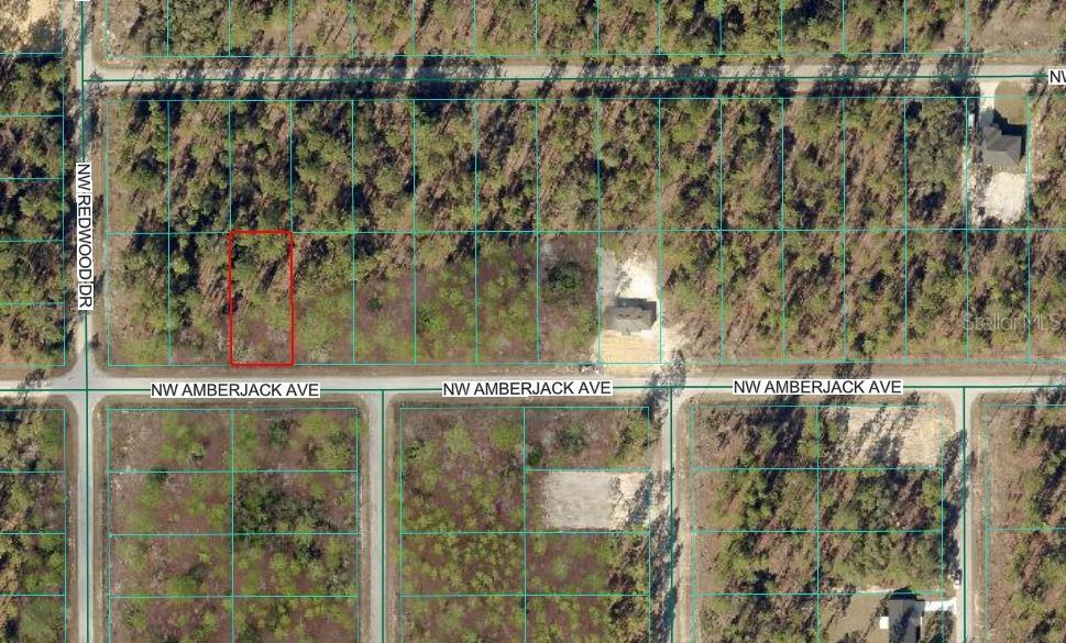 Image 2 of 3 For Amberjack Avenue