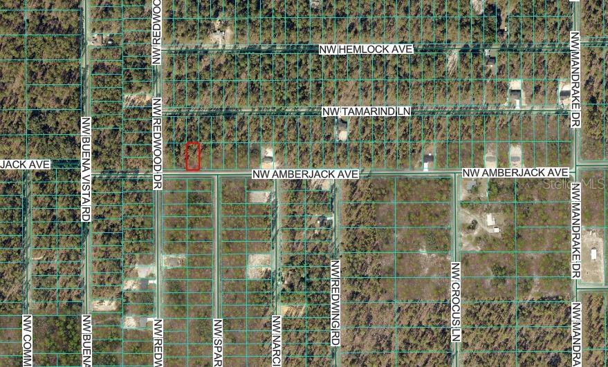 Image 3 of 3 For Amberjack Avenue