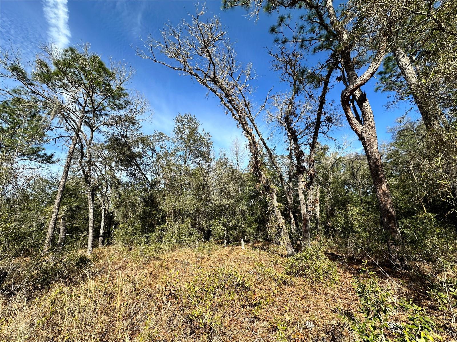 Image 4 of 9 For Tbd 67th Place