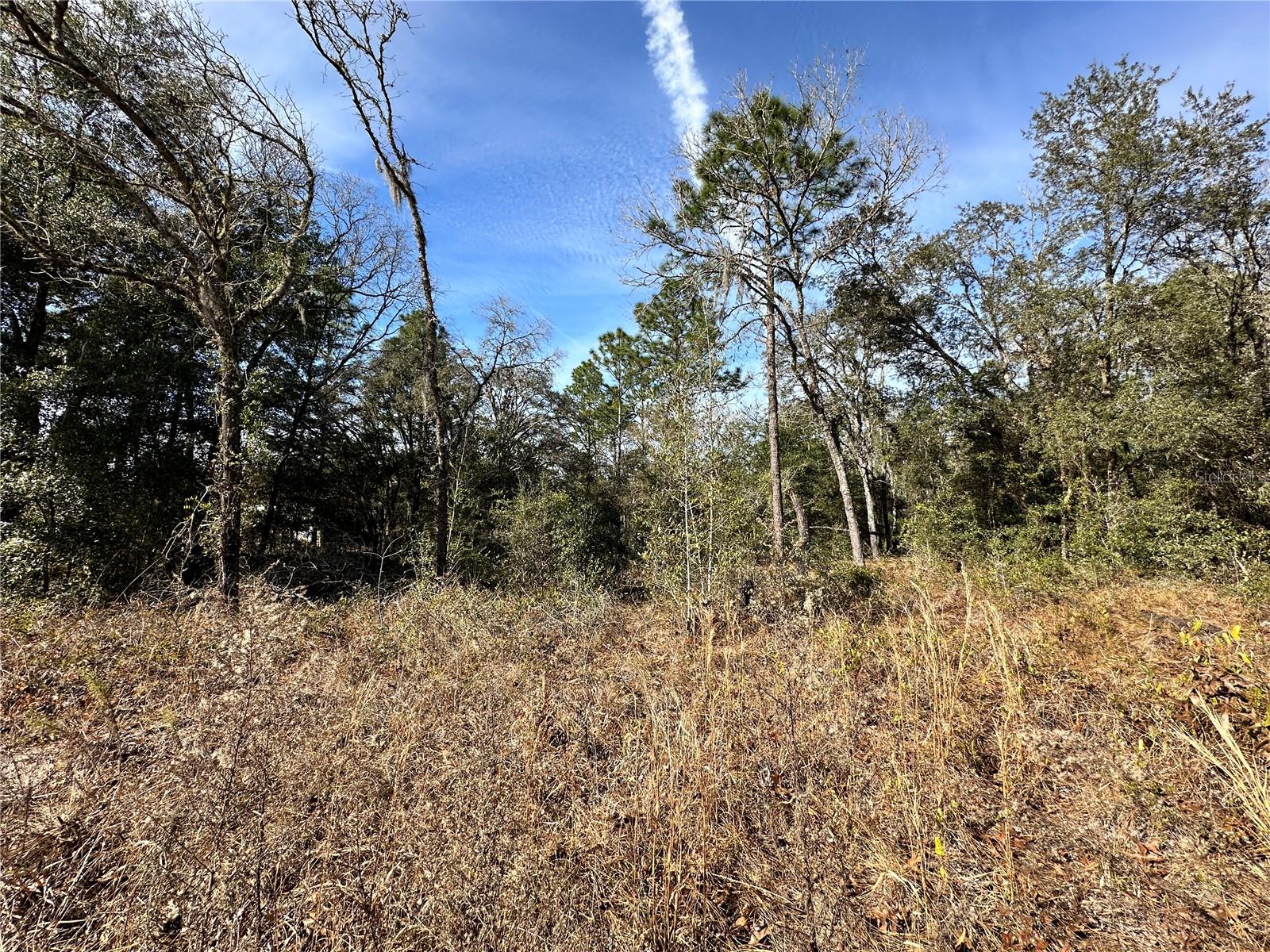 Image 5 of 9 For Tbd 67th Place