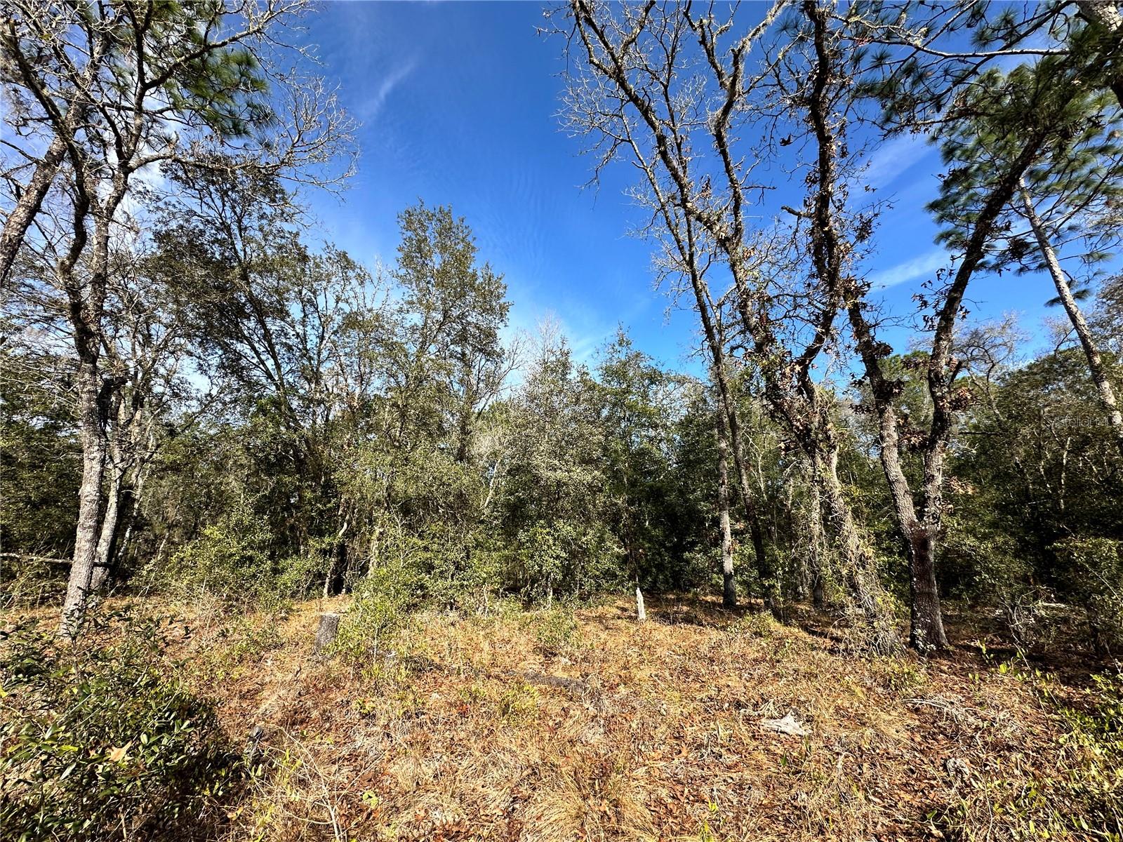 Image 6 of 9 For Tbd 67th Place