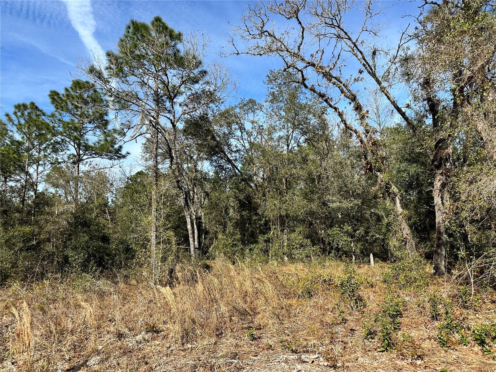 Image 7 of 9 For Tbd 67th Place