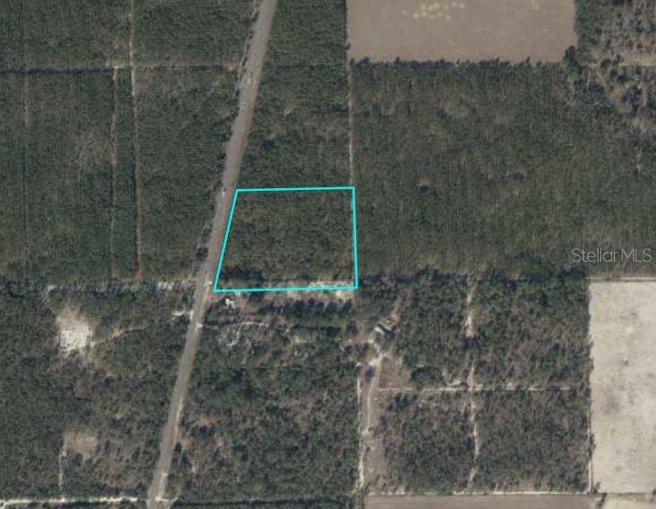 Listing Details for  Us 129  , BELL, FL 32619