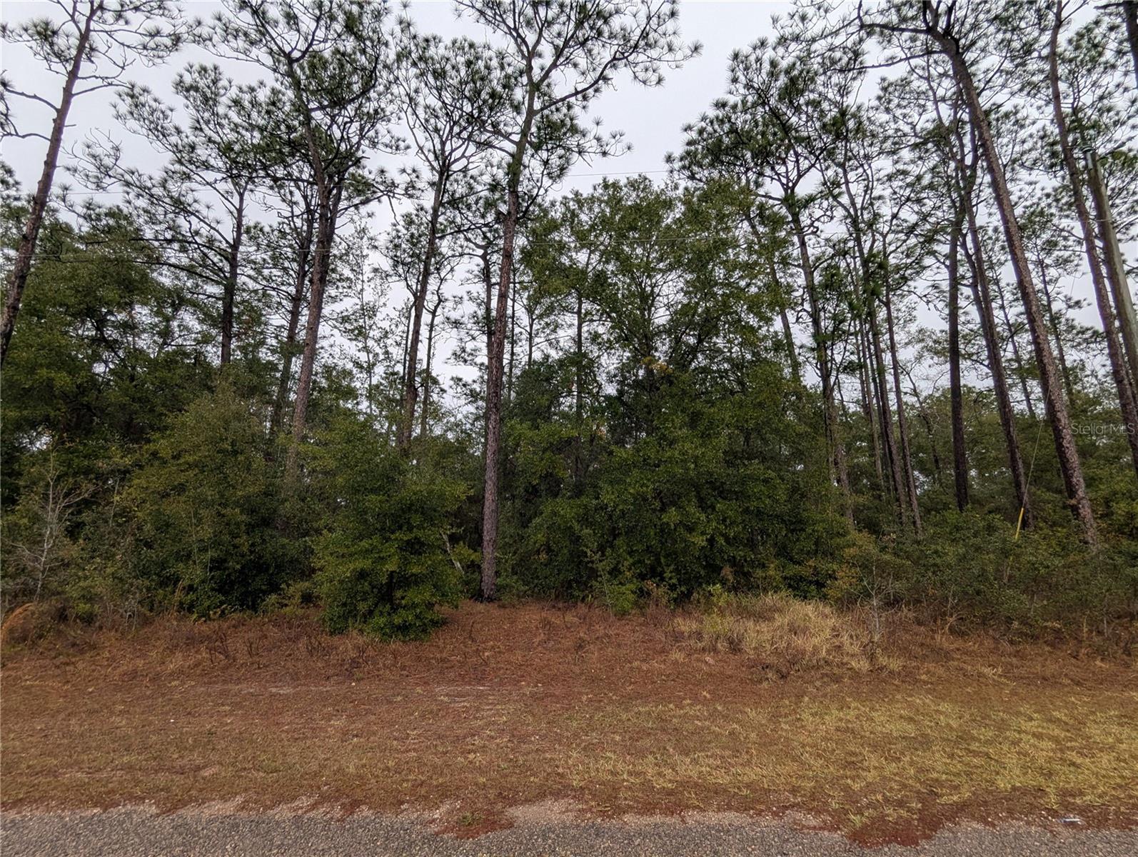 Image 2 of 5 For 2737 Blink Drive