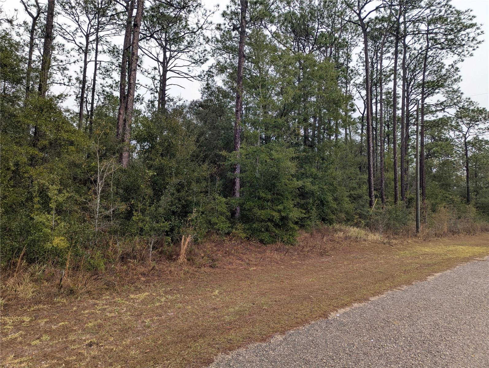 Image 3 of 5 For 2737 Blink Drive