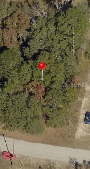 Details for Tbd Pine Radial Road N 16, OCALA, FL 34472