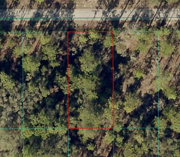 Details for Nw Banyan Ln, DUNNELLON, FL 34431