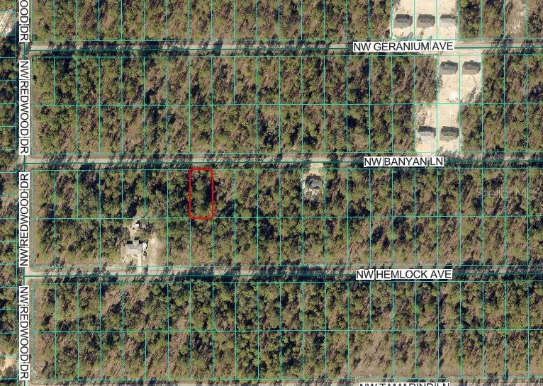 Image 2 of 3 For Nw Banyan Ln