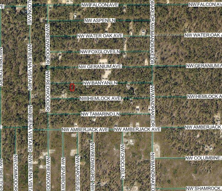 Image 3 of 3 For Nw Banyan Ln