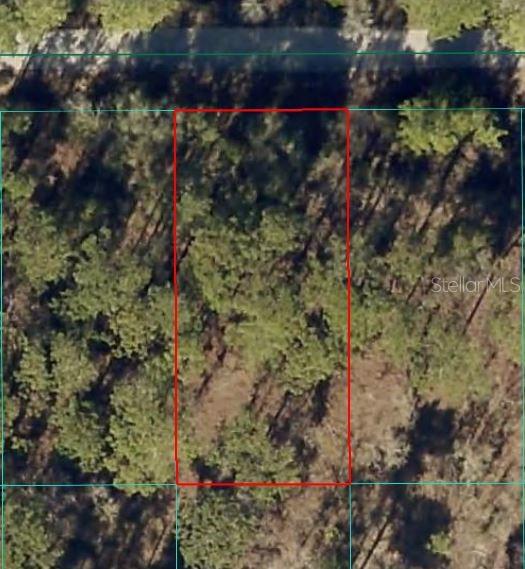 Details for 24394 Water Oak Avenue, DUNNELLON, FL 34431