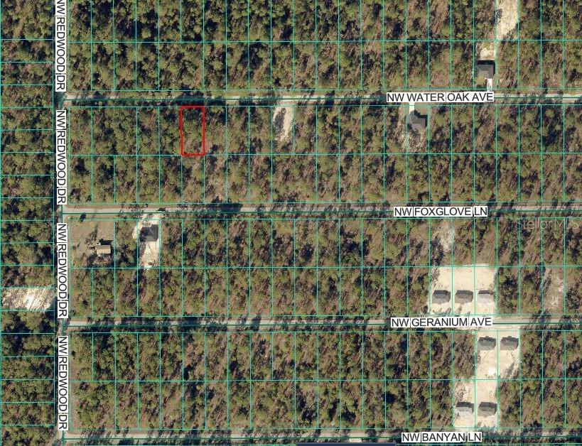 Image 3 of 3 For 24394 Water Oak Avenue