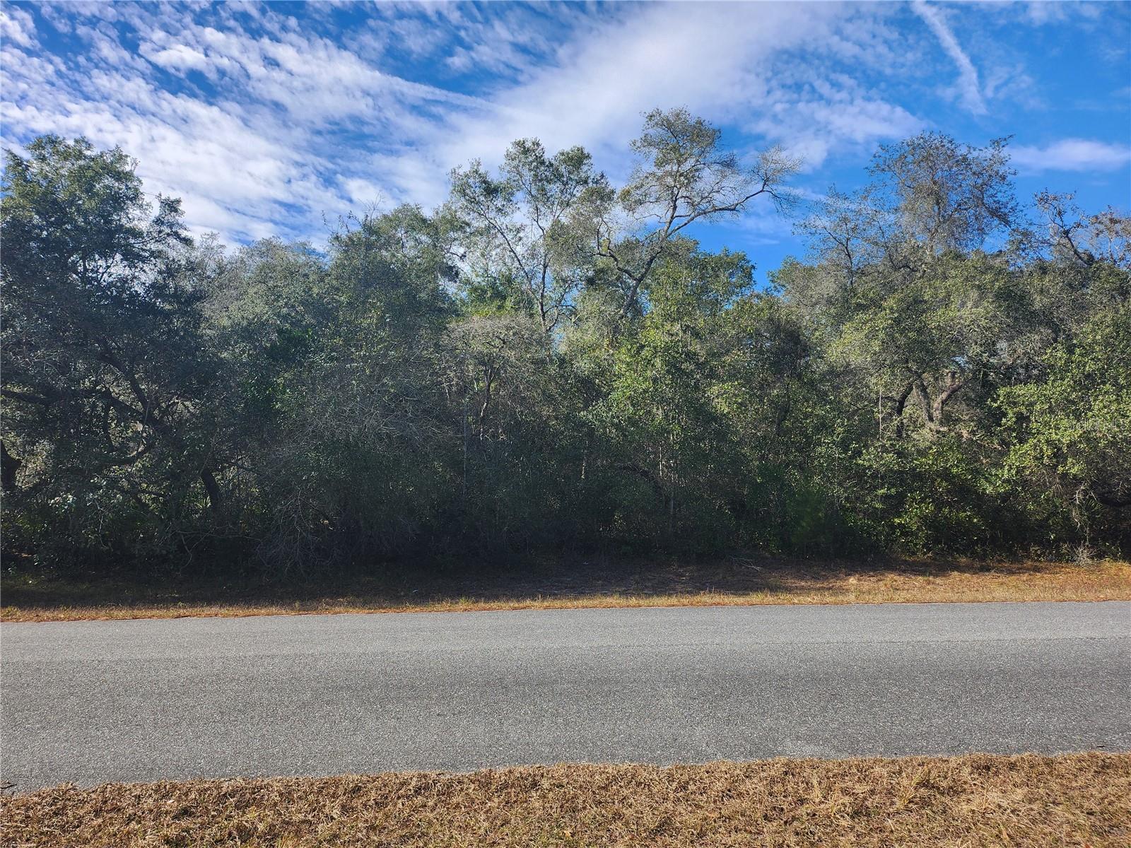 Image 2 of 11 For Tbd 29 Terrace Road