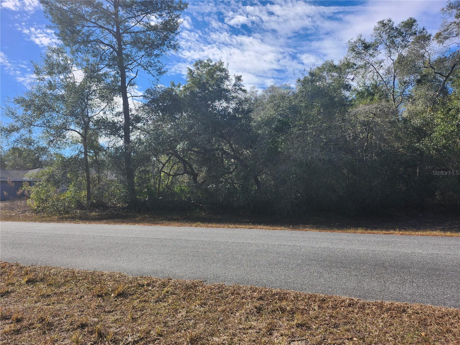 Image 4 of 11 For Tbd 29 Terrace Road