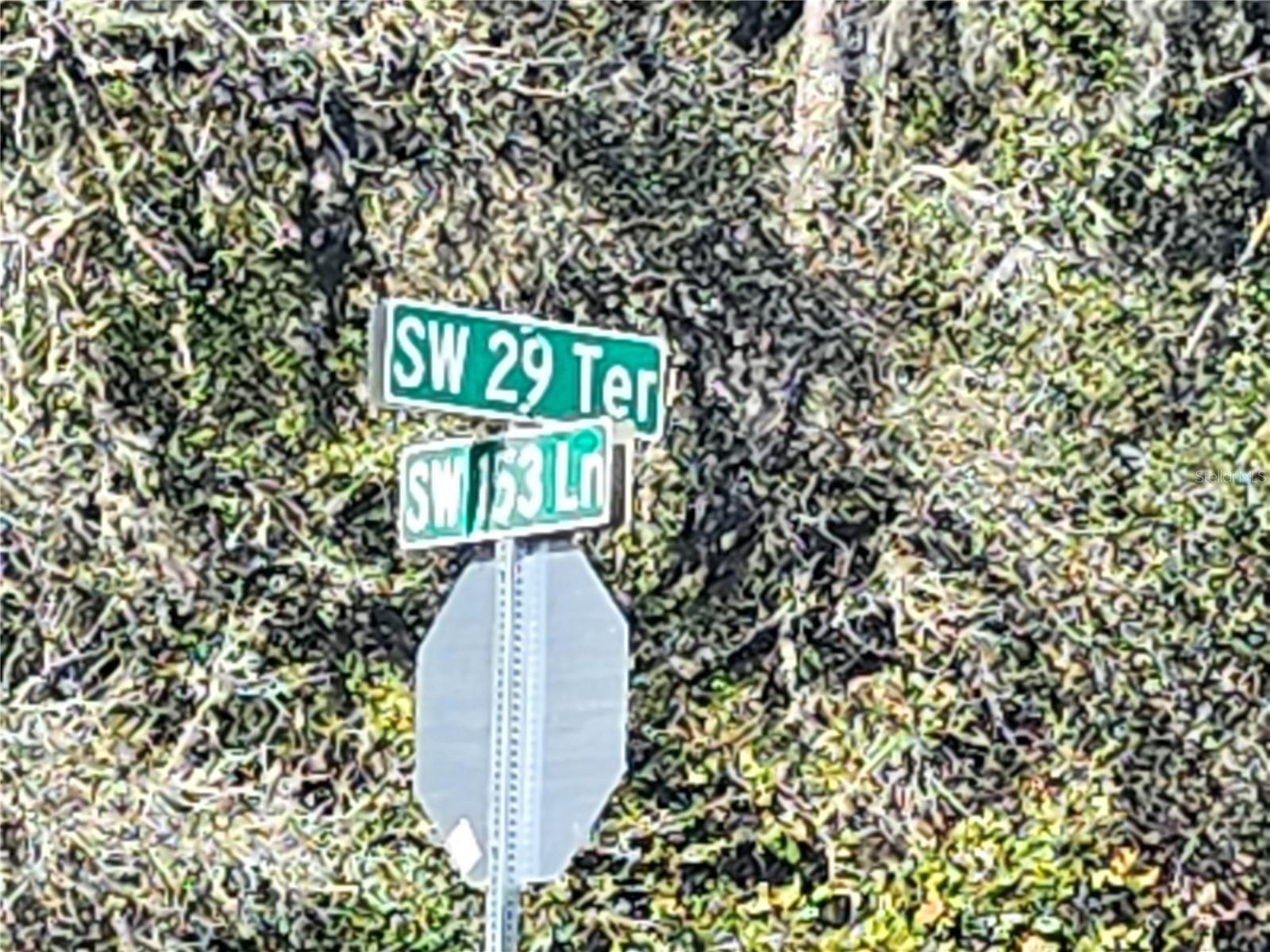 Image 8 of 11 For Tbd 29 Terrace Road