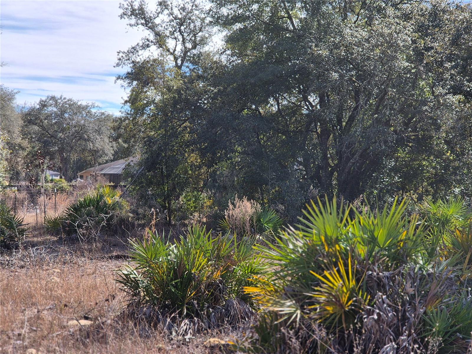 Details for 00 78th Lane, BRONSON, FL 32621