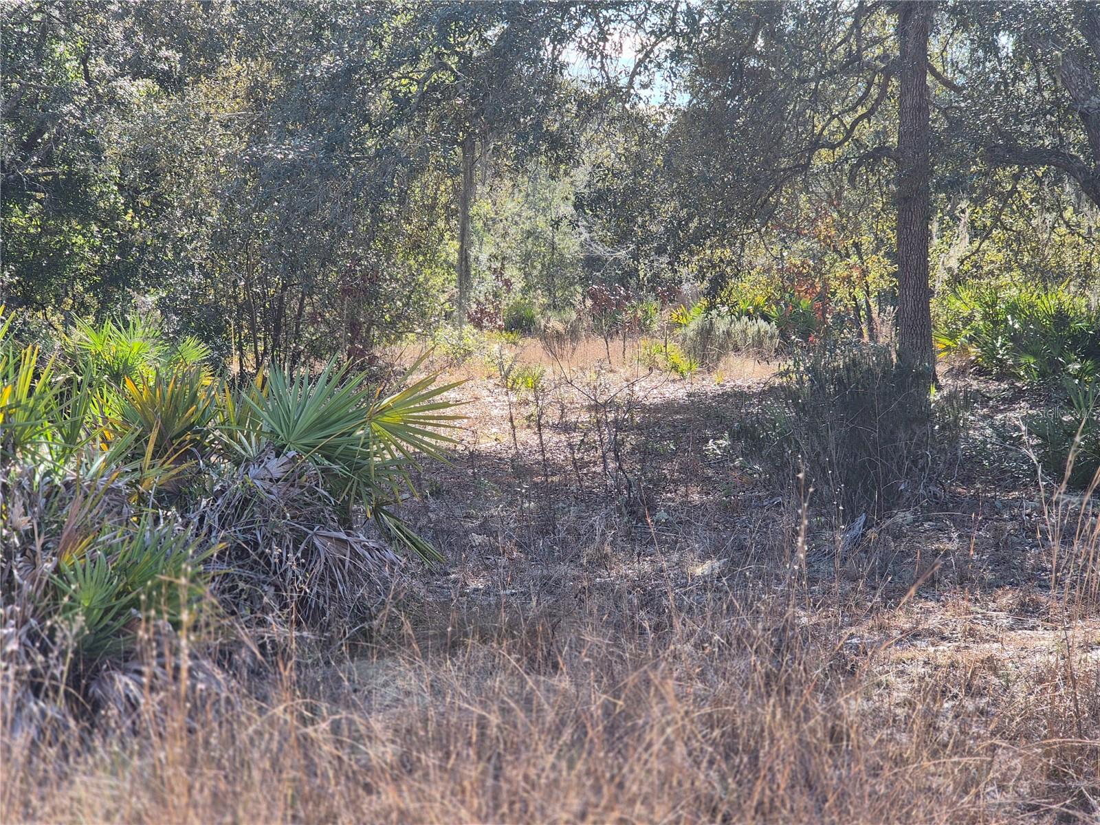 Image 2 of 8 For 00 78th Lane