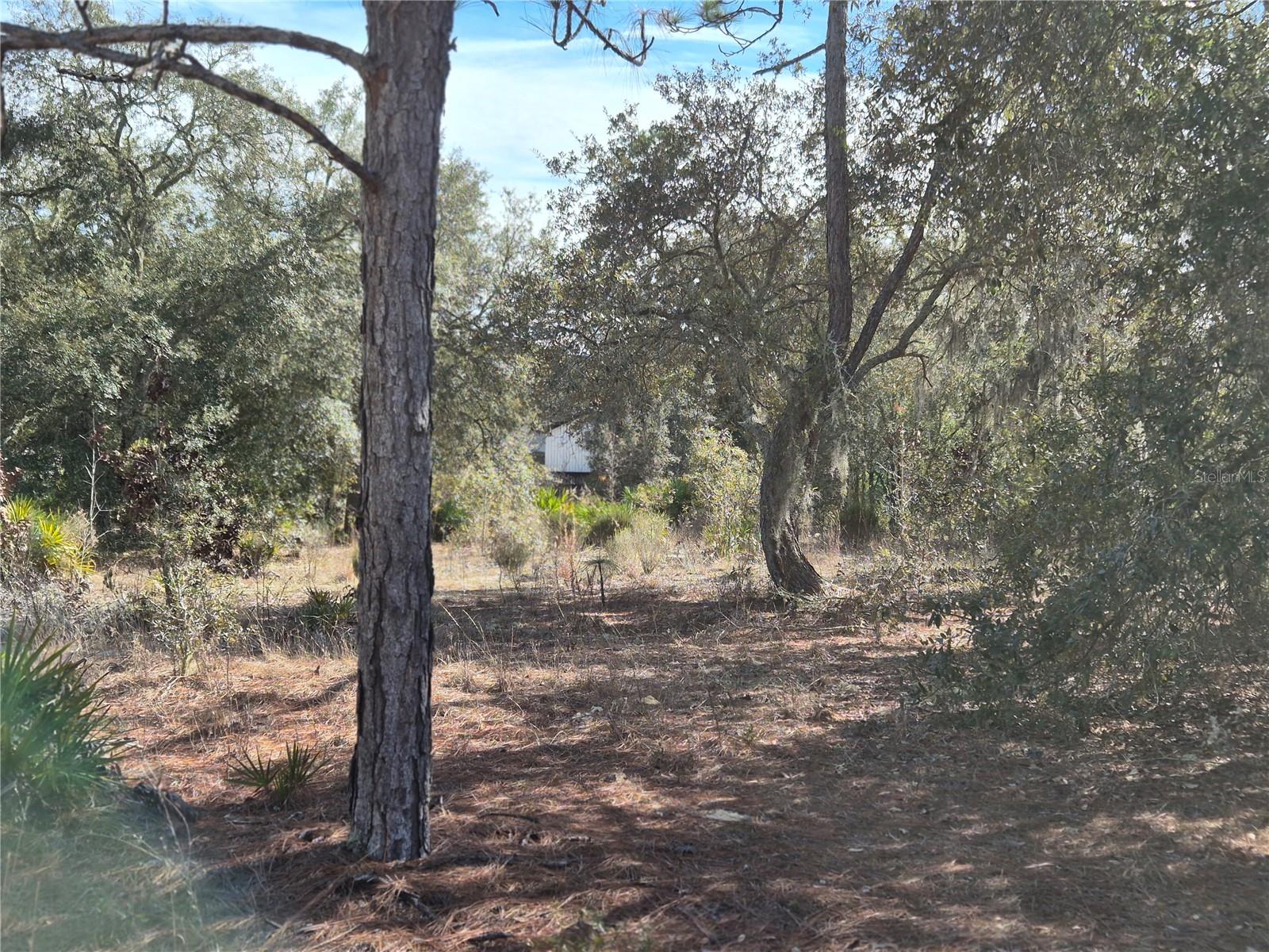 Image 6 of 8 For 00 78th Lane