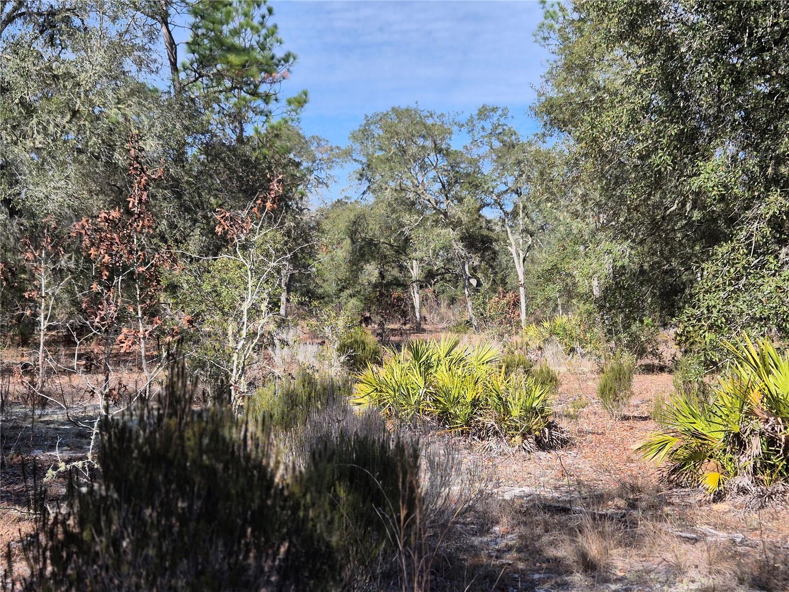 Image 8 of 8 For 00 78th Lane