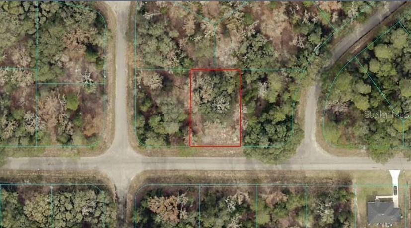 Listing Details for Tba Guava Pass, OCKLAWAHA, FL 32179