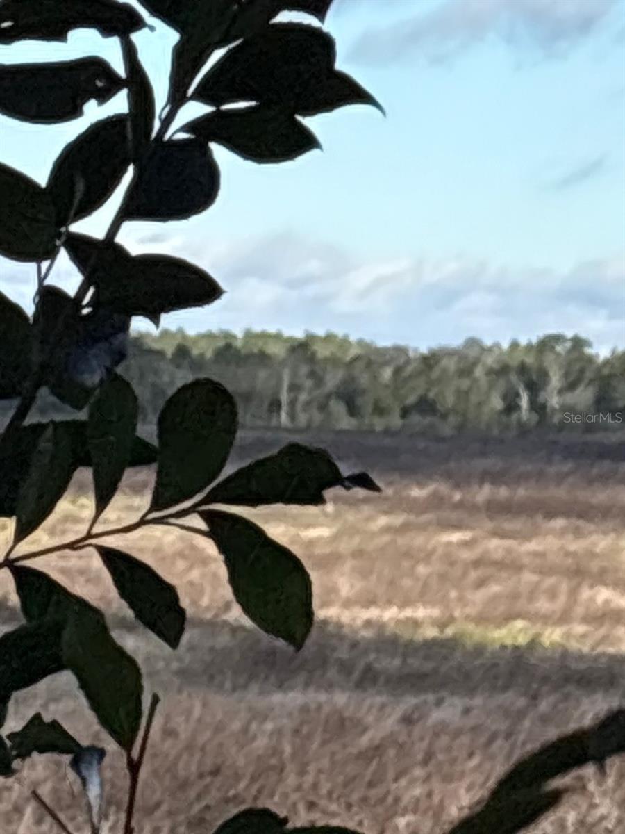 Image 47 of 53 For 21425 Plantation Street