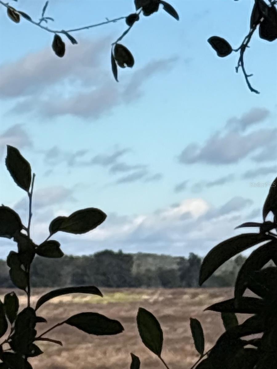 Image 48 of 53 For 21425 Plantation Street