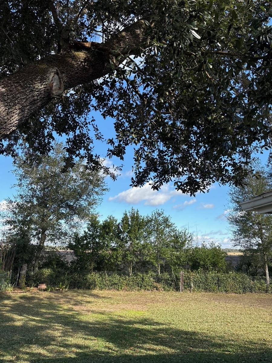 Image 52 of 53 For 21425 Plantation Street