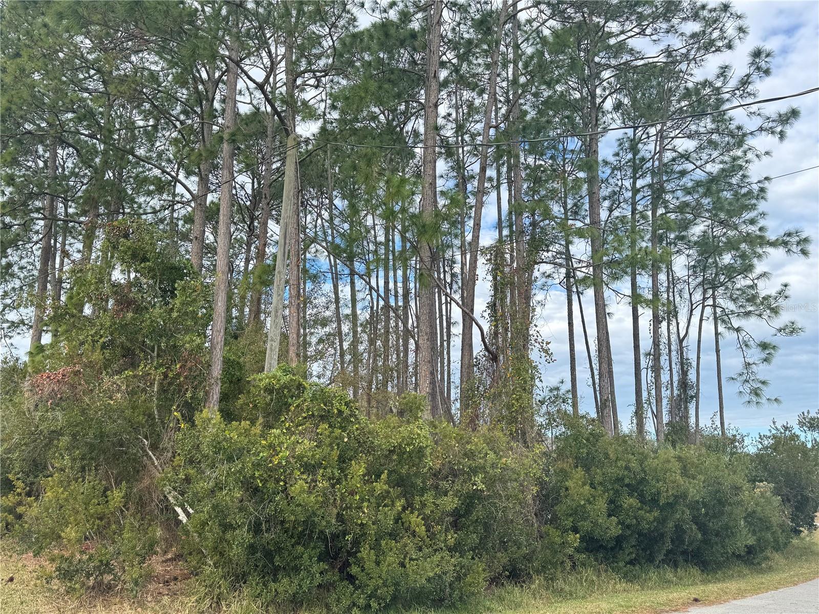 Image 2 of 7 For 13 Lincoln Lane