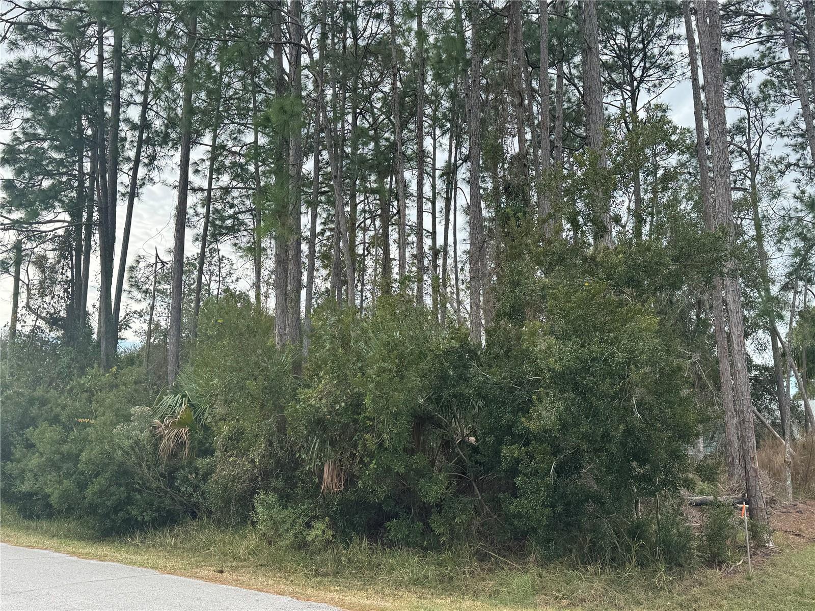 Image 3 of 7 For 13 Lincoln Lane