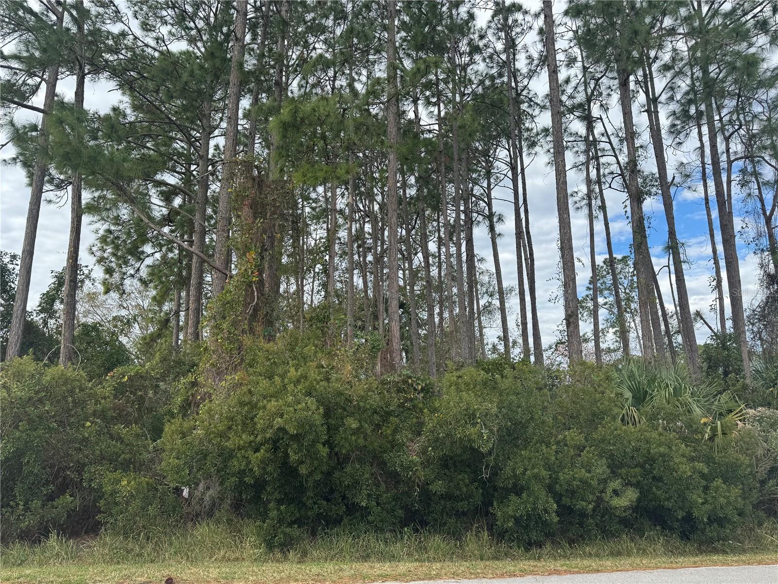 Image 4 of 7 For 13 Lincoln Lane