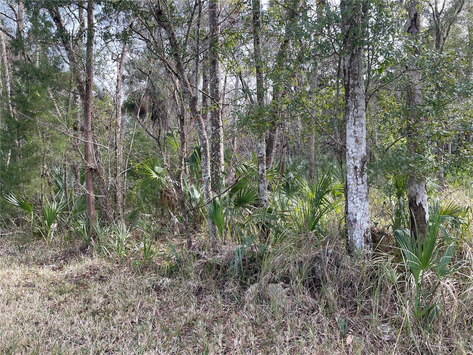 Image 3 of 4 For 11106 Townsend Lane