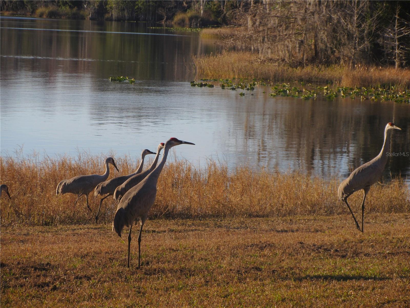 Image 90 of 99 For 2249 170th Avenue Road