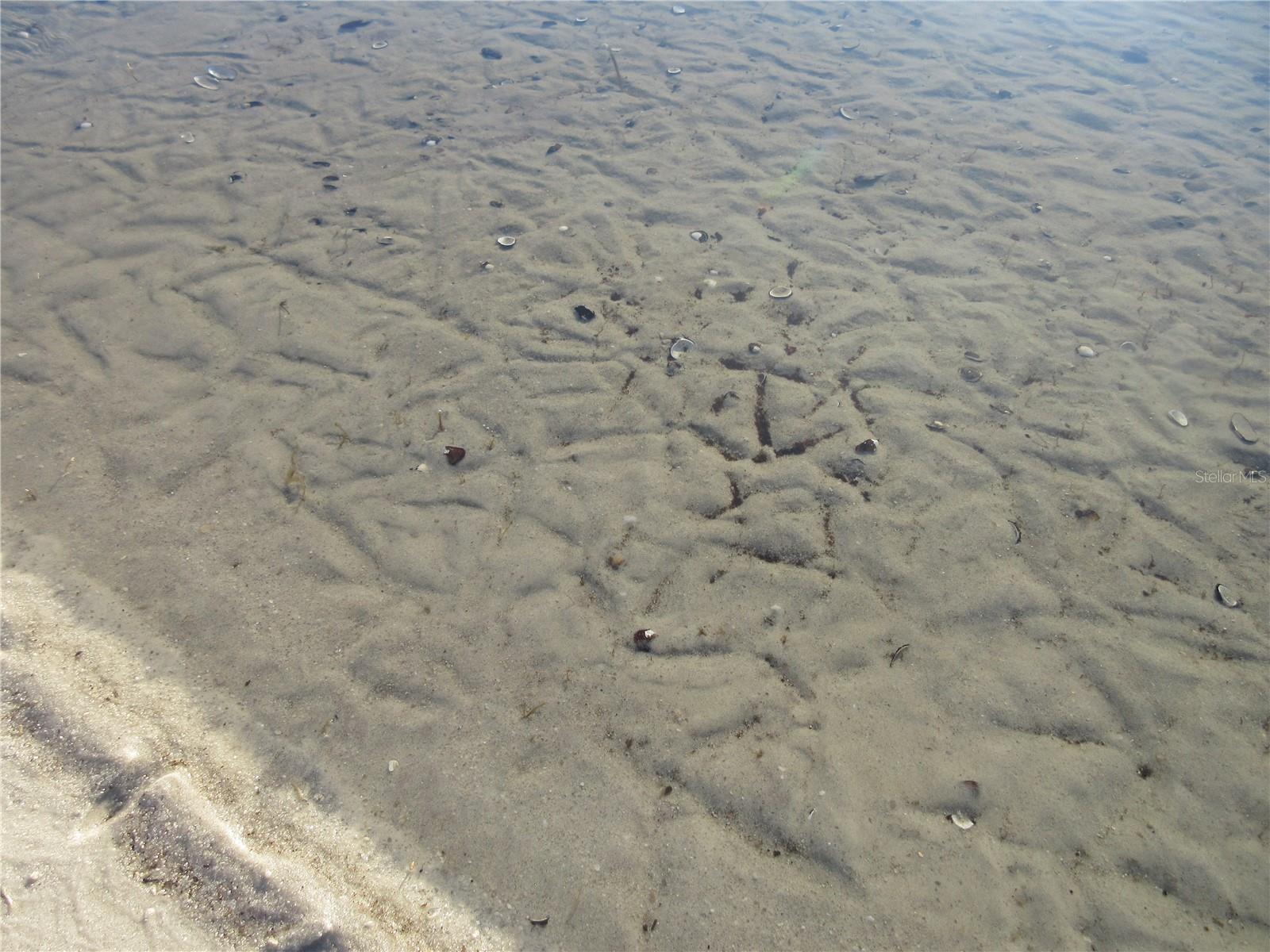 Image 94 of 99 For 2249 170th Avenue Road