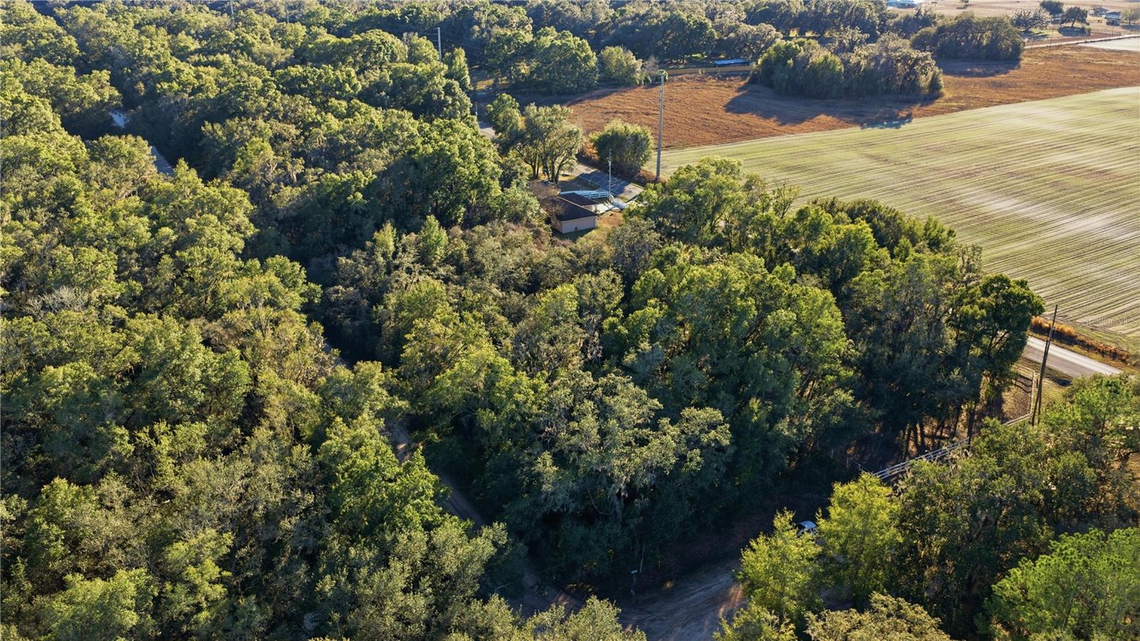 Details for 139th Court , DUNNELLON, FL 34432