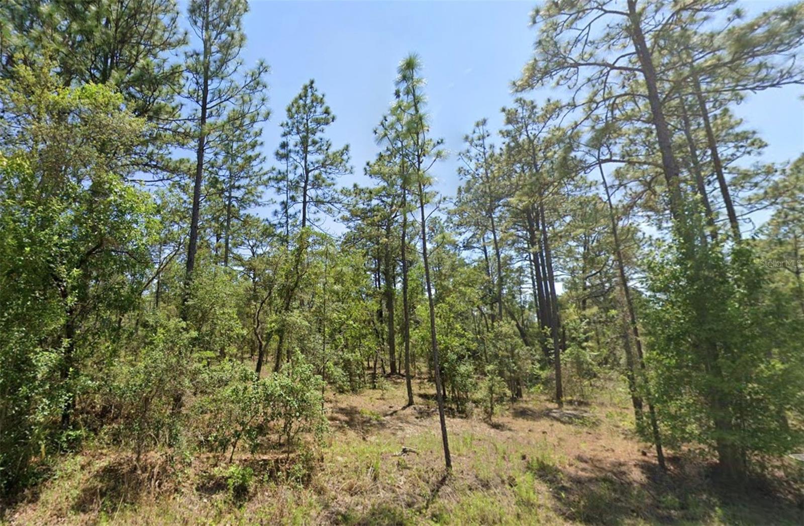 Details for 00 Shamrock Avenue, DUNNELLON, FL 34431