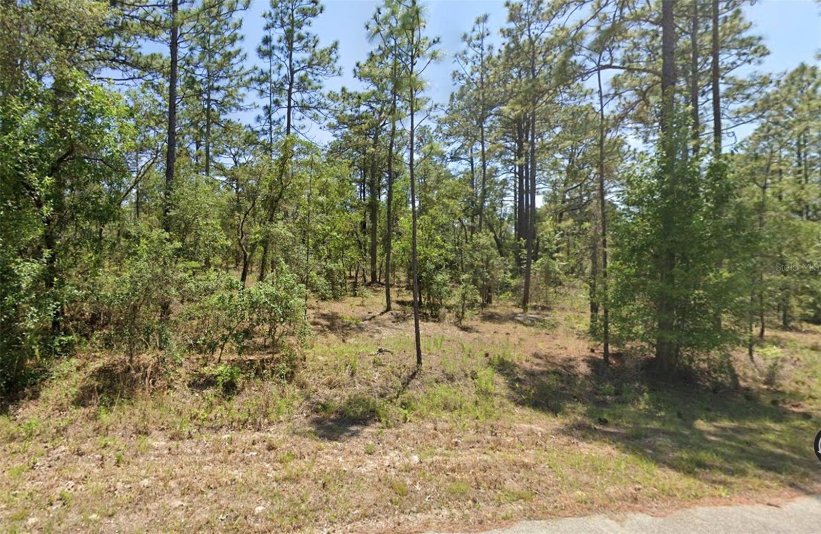 Image 3 of 6 For 00 Shamrock Avenue