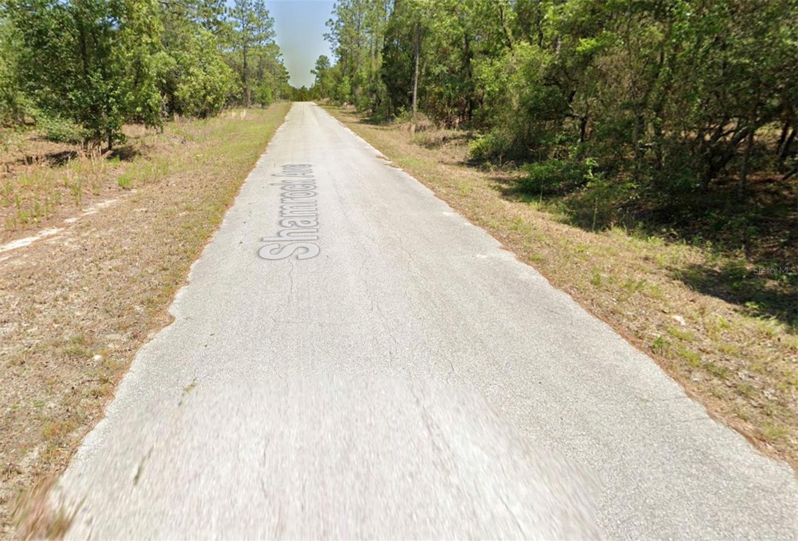 Image 4 of 6 For 00 Shamrock Avenue