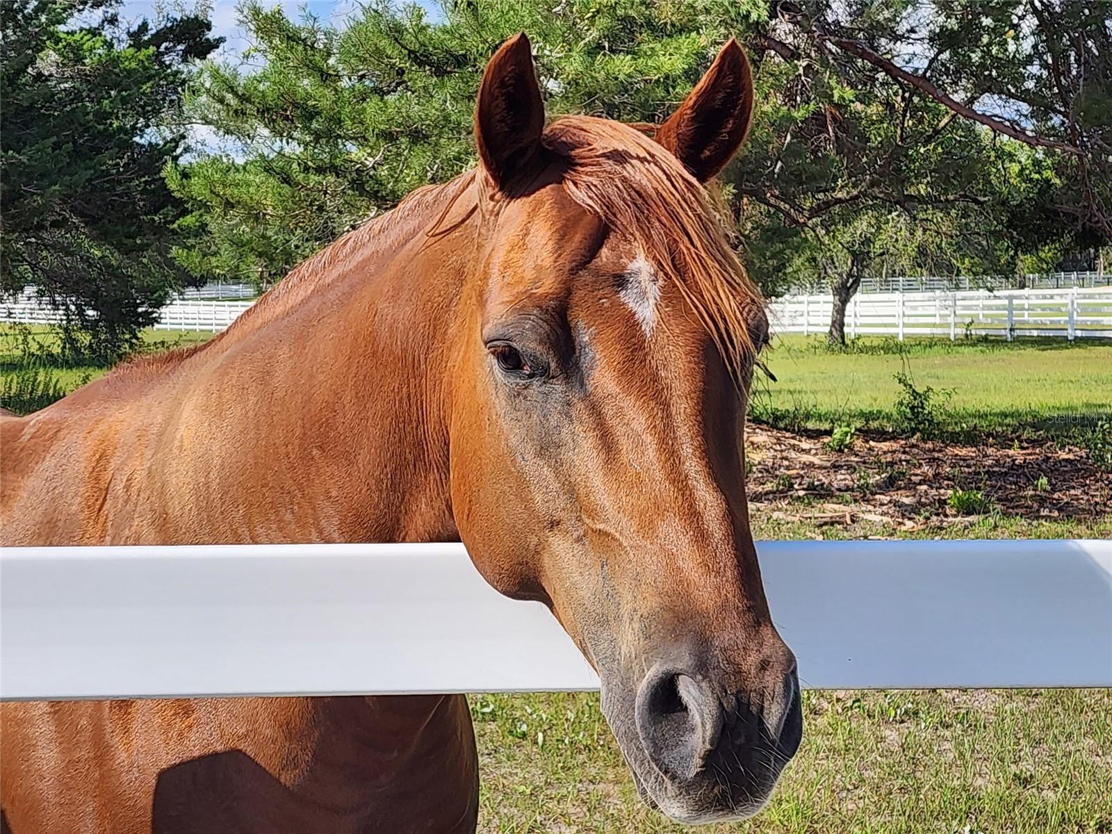 Image 100 of 100 For 10532 27th Avenue