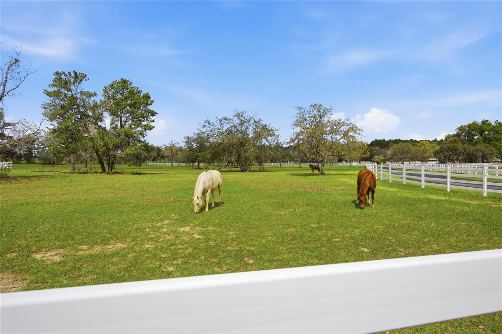 Image 62 of 100 For 10532 27th Avenue