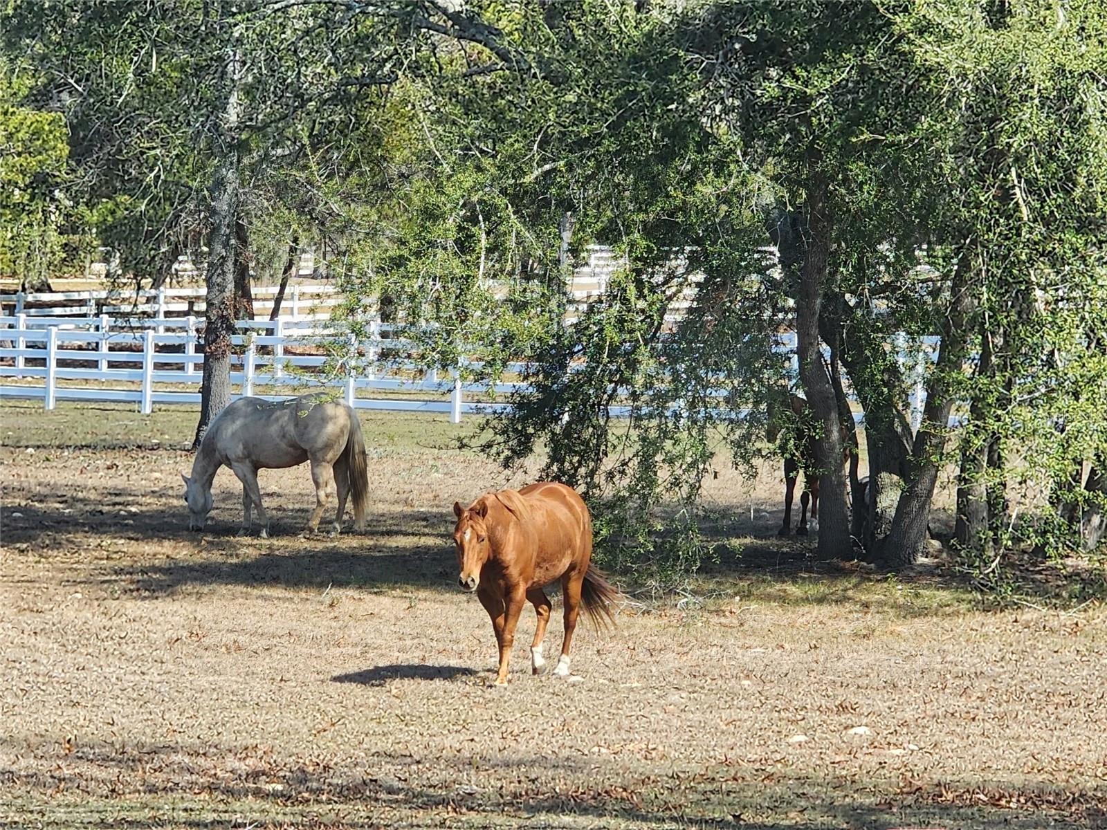Image 96 of 100 For 10532 27th Avenue