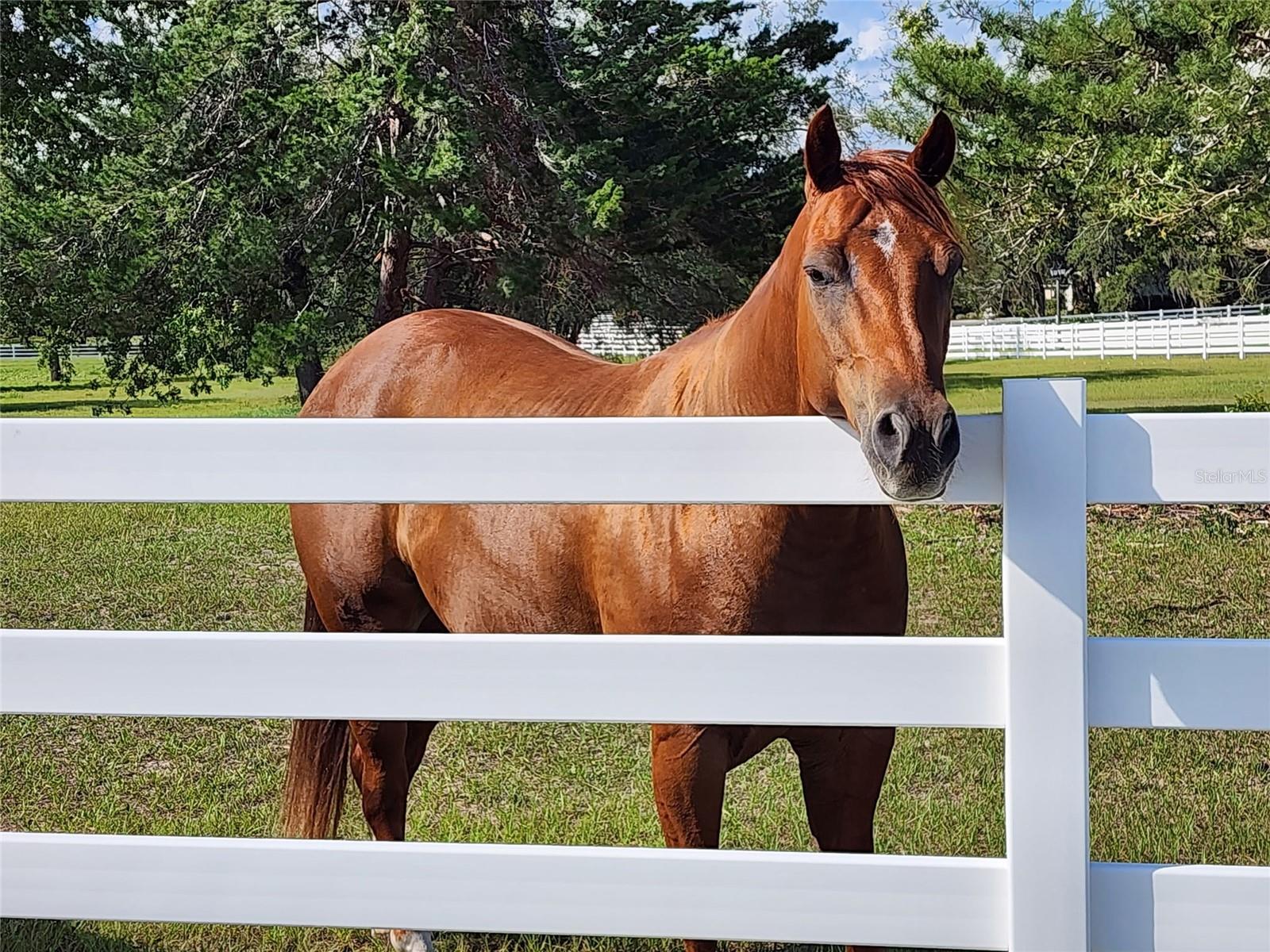 Image 97 of 100 For 10532 27th Avenue