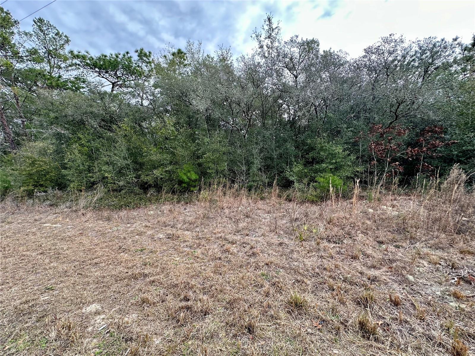 Listing photo id 2 for 7891 Darby Drive