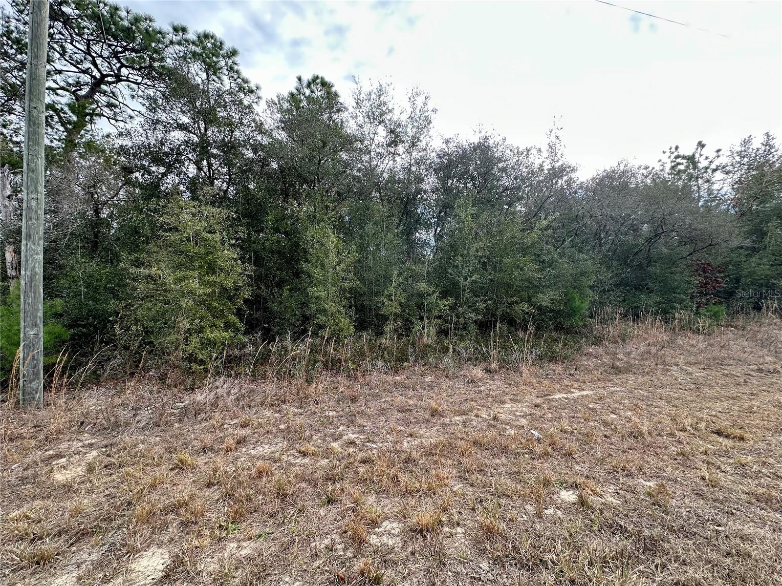 Listing photo id 3 for 7891 Darby Drive