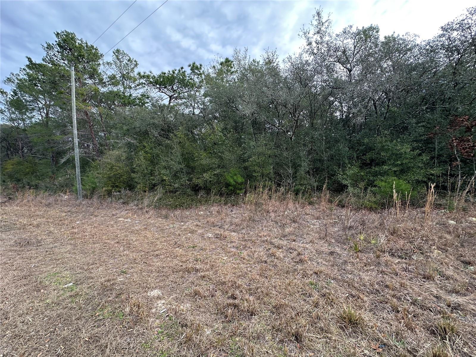 Listing photo id 4 for 7891 Darby Drive